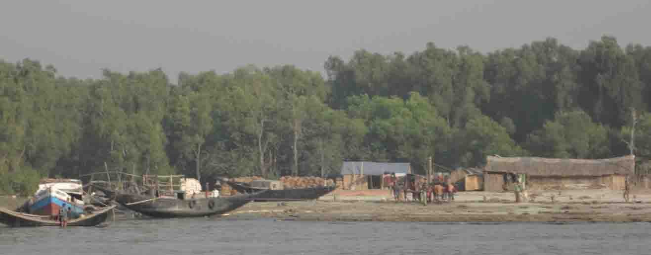 তালতলী সোনারচর